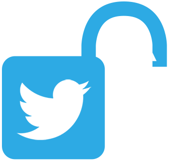 Twitter security