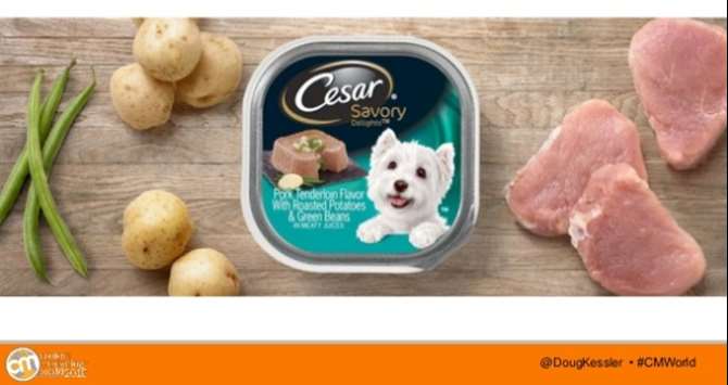 Image of Cesar Savory Dog food from Doug Kessler's CMW 2016 presentation