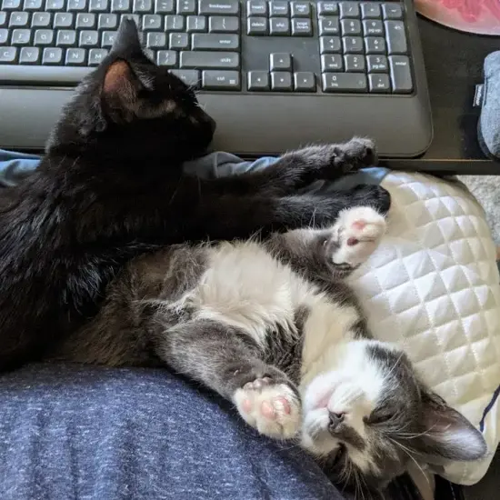 Jason Kepic Secondary Image