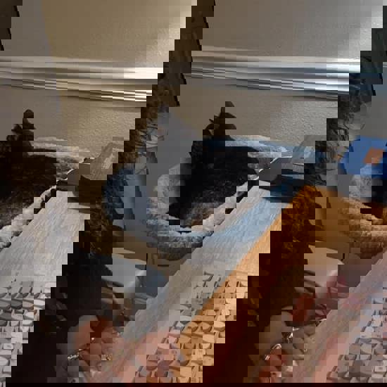 Marcela Mack Secondary Image