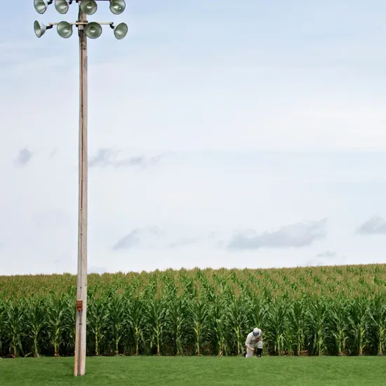 corn field