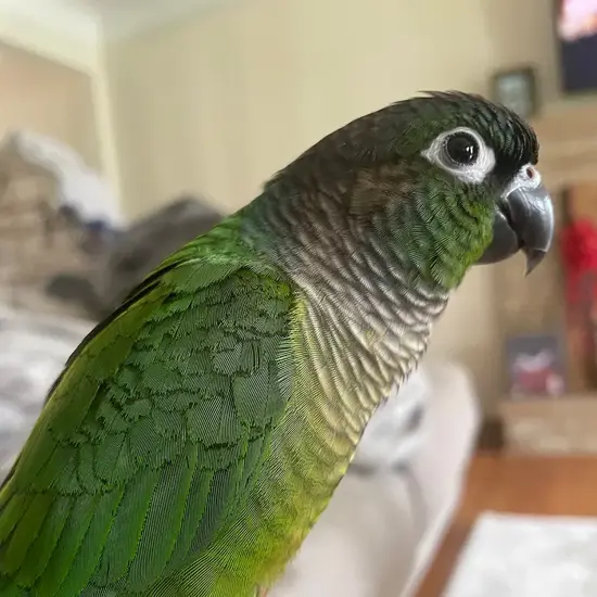 Erika Spadaro Secondary Image