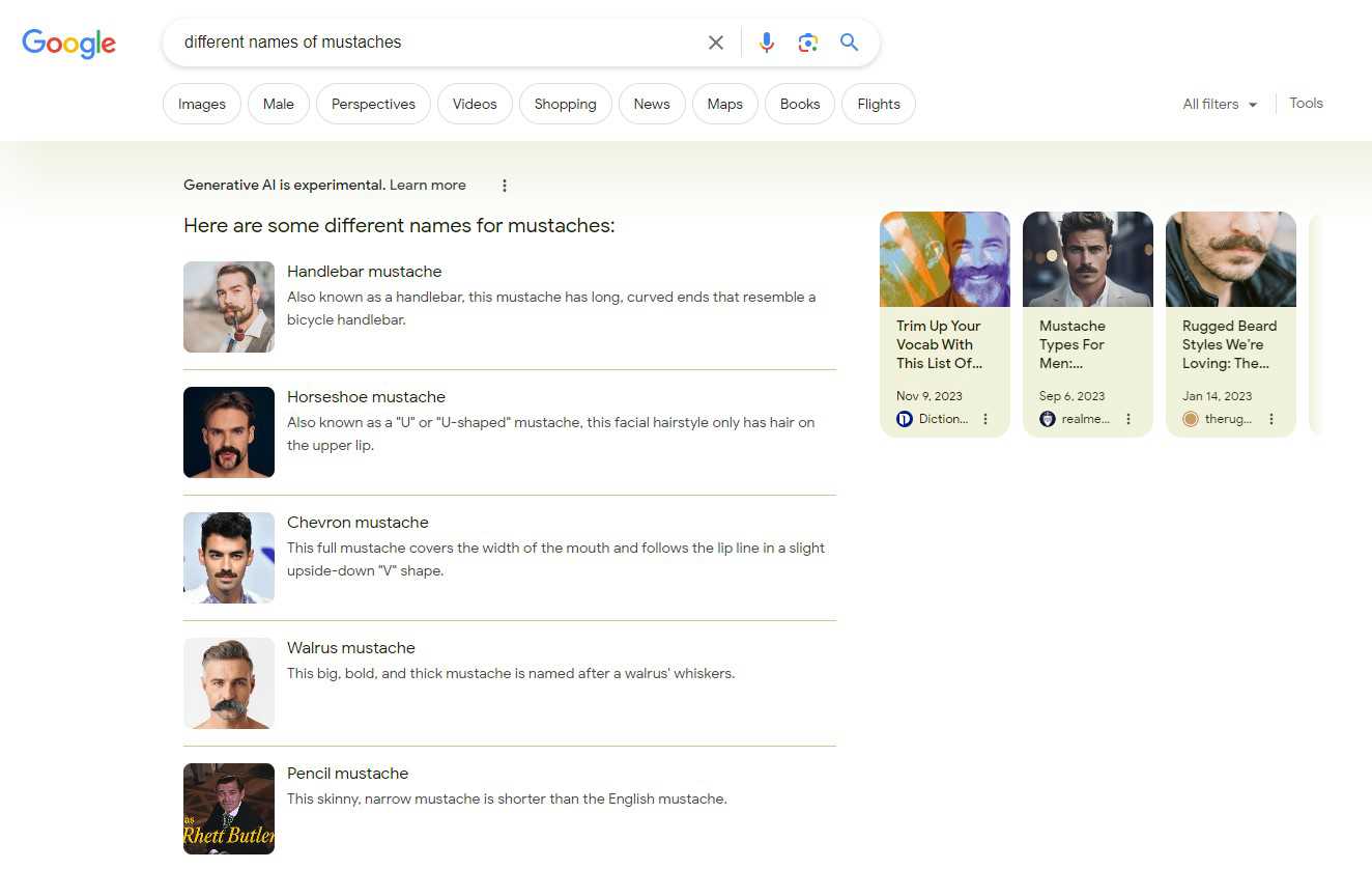 Google SGE unordered list of mustaches names.