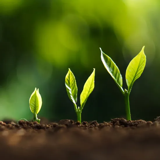 plants growing