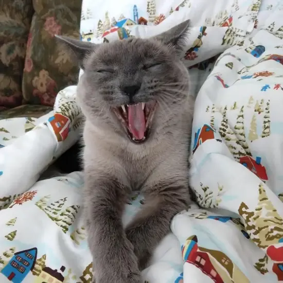 Frank Branicky Secondary Image