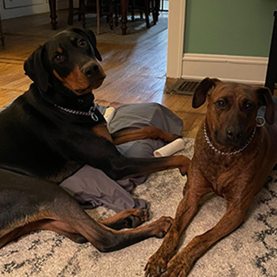 Jim Bacha Secondary Image